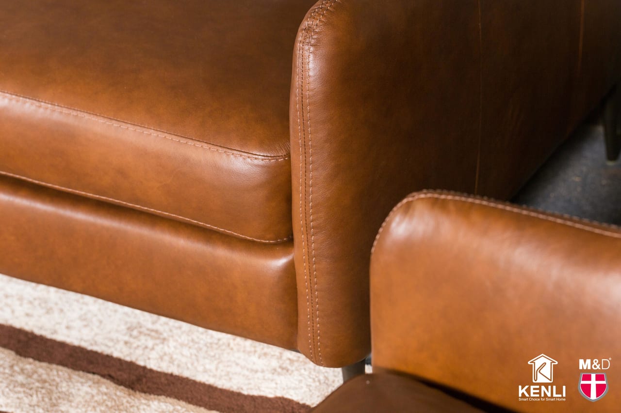 5 Mẫu Sofa nhập khẩu Italia được ưa chuộng nhất 2022 5 sofa da nhập khẩu MD