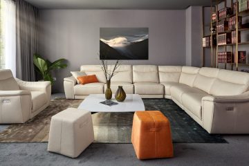 SOFA DA THẬT AGAY EE27