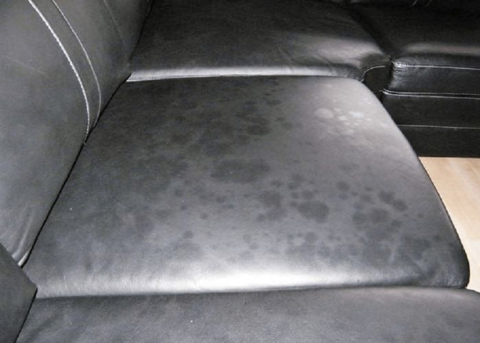 Dấu hiệu ghế Sofa da bị mốc