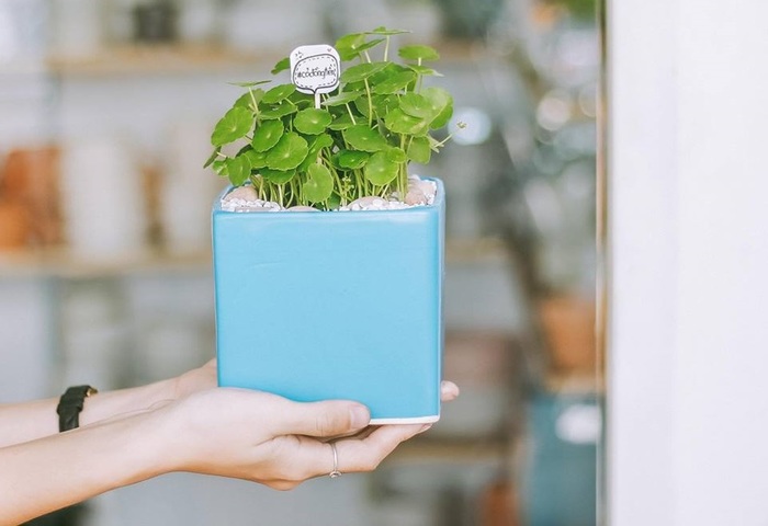 10 món quà tặng tân gia sang trọng