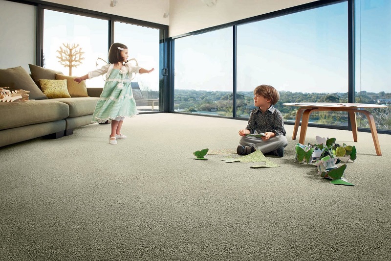 Làm Sạch Thảm Sofa Bị Mốc Vô Cùng Đơn Giản Tại Nhà