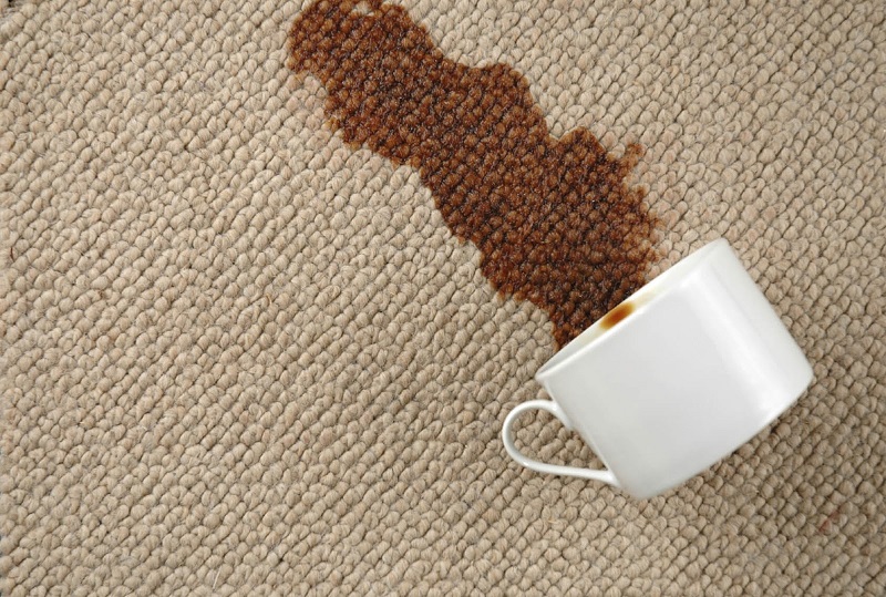 Có rất nhiều tác nhân gây nên tình trạng thảm sofa bị mốc Có rất nhiều tác nhân gây nên tình trạng thảm sofa bị mốc