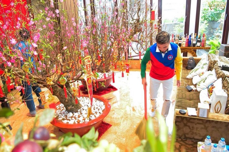 Cây đào trang trí nhà cửa dịp Tết
