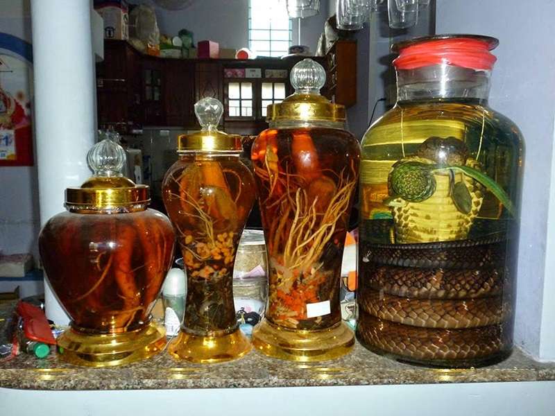 Quà tết chỉ với chai rượu thuốc Bắc, tốt sức khỏe người dùng