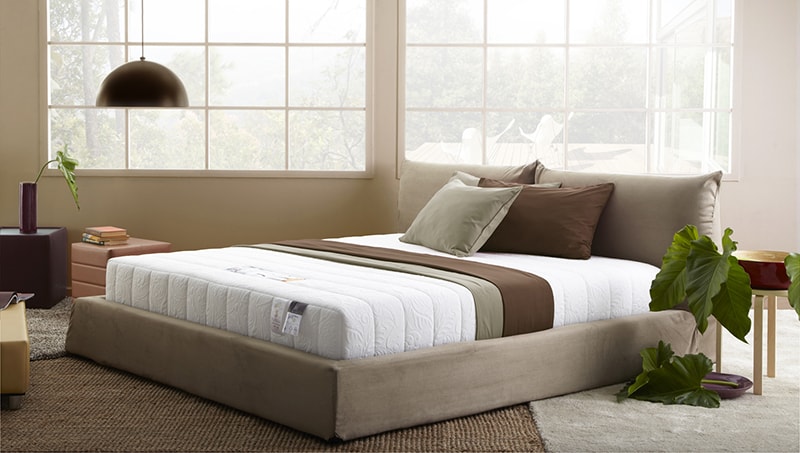 Tư Vấn Cách Chọn Mua Nệm Chất Lượng Bảo Vệ Cột Sống 4 Cách chọn mua nệm