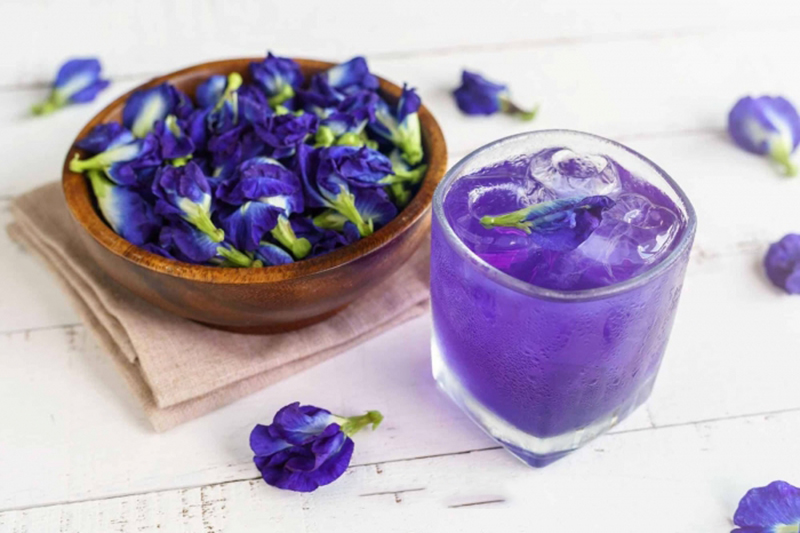 Cách pha trà hoa đậu biếc