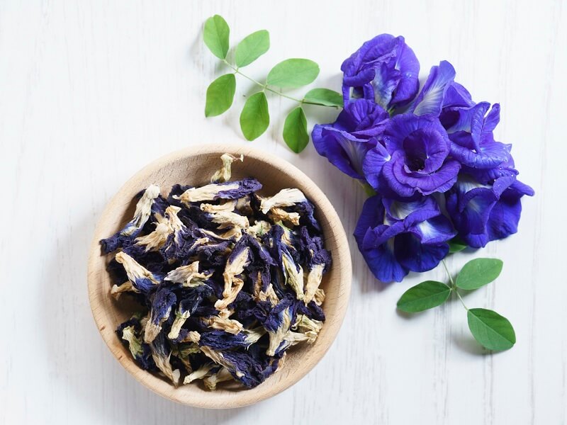 Cách pha trà hoa đậu biếc