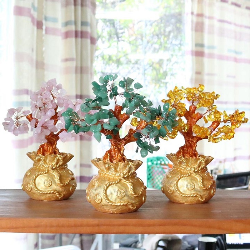 Cây tài lộc phong thủy là điểm nhấn không gian Cây tài lộc phong thủy là điểm nhấn không gian