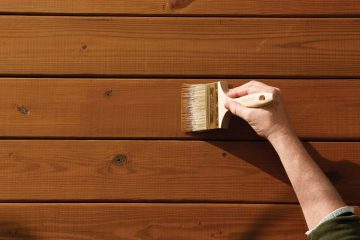 Đồ Gỗ Bị Mối Mọt Phải Làm Sao Để Xử Lý Nhanh Chóng?