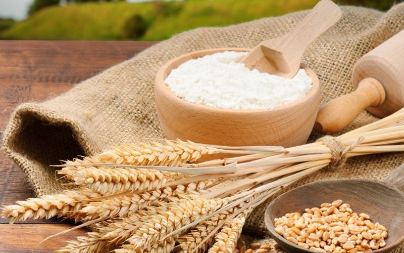 Giường Ngủ Có Kiến Phải Làm Sao Để Khắc Phục? 3 Giường ngủ có kiến phải làm sao?