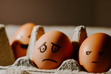 Nỗi Sợ – Vì Sao Chúng Ta Sinh Ra Lại Sợ Hãi.