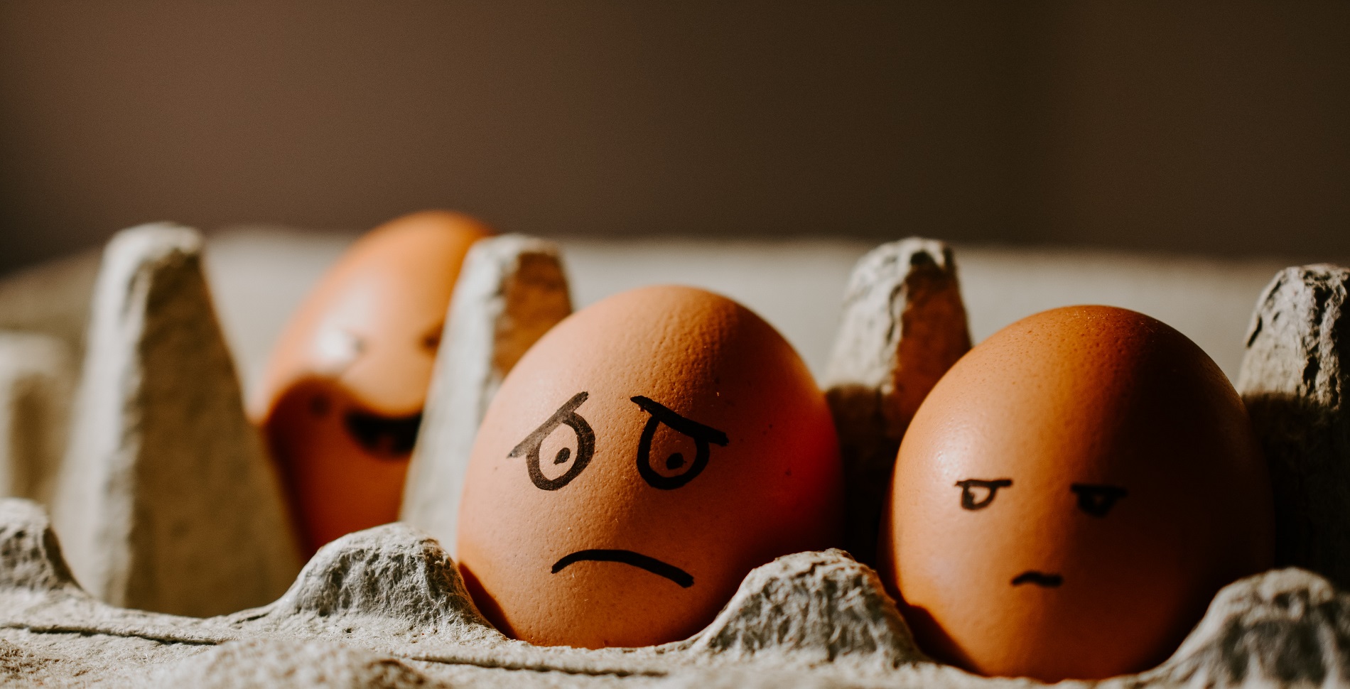 Nỗi Sợ – Vì Sao Chúng Ta Sinh Ra Lại Sợ Hãi.
